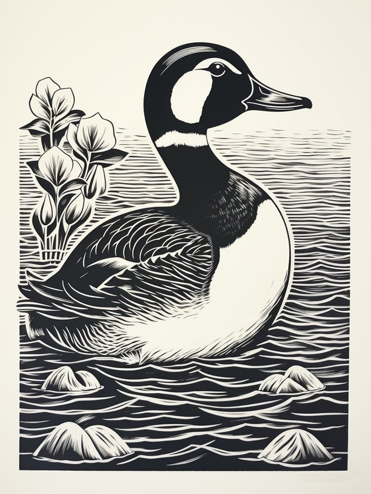 B&W Bird Linocut Bufflehead 1
