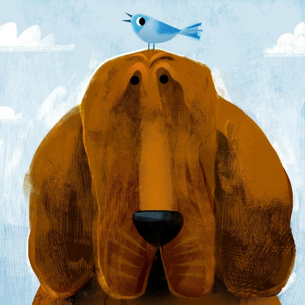 Bloodhound With Pesky Bird Square