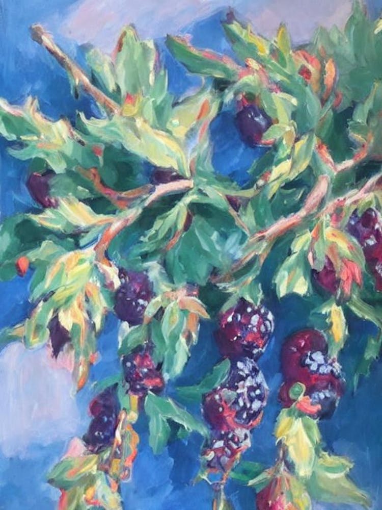 Marionberry 2 Classic Fruit