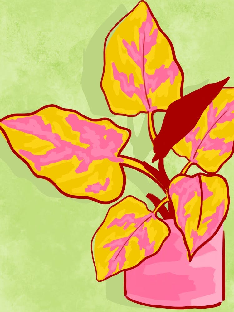Spring Garden