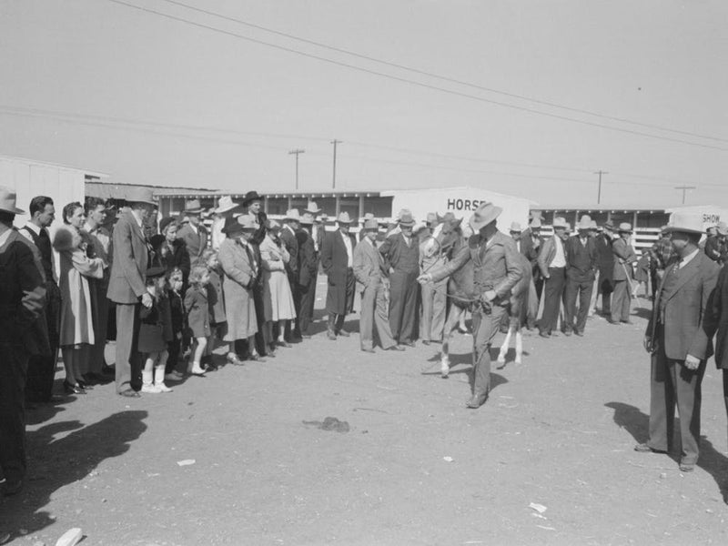 West Texas Parading His Horse Before The Judges And Spectators At The San Angelo Fat Stock Show, San Angelo