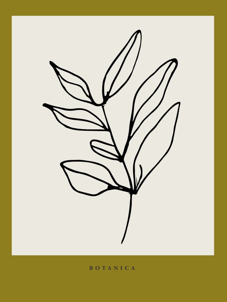 Botanica line no 05
