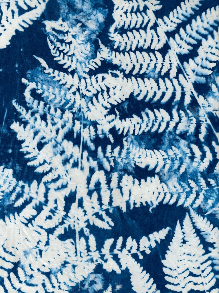 Fern Botanical Vintage Cyanotype Blue