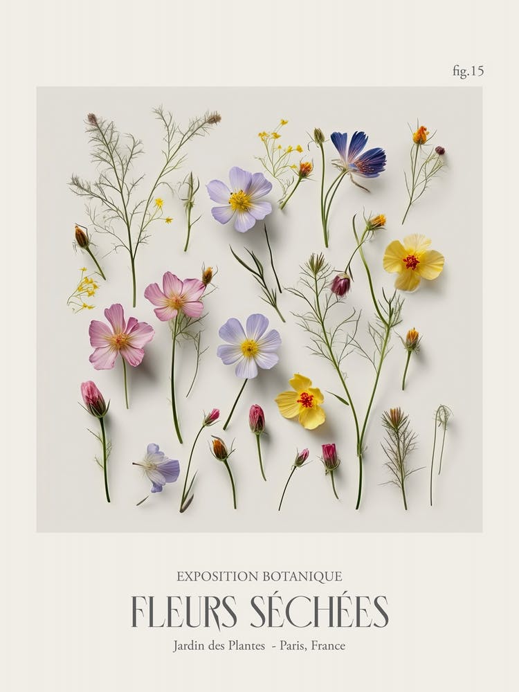 Fleurs Sechees, Dried Flowers Exhibition Poster 15