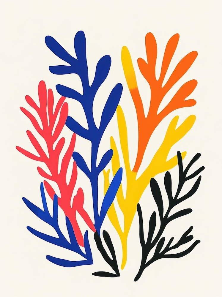 Corals 3