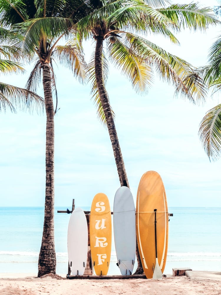 Choose Your Surfboard