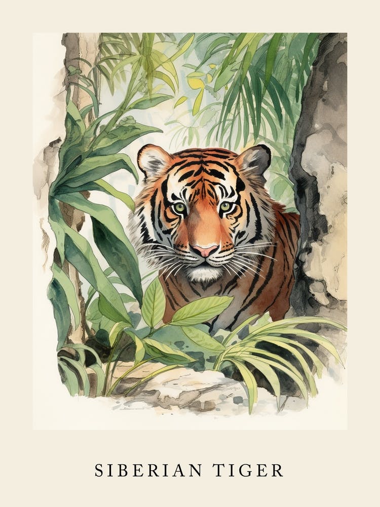 Tigre de Sibérie à l'Aquarelle Inspiré de Beatrix Potter 3