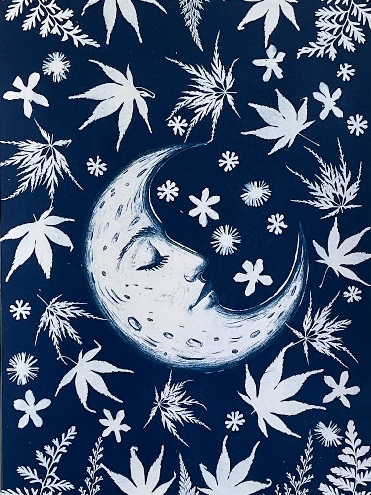 Mond und Blätter