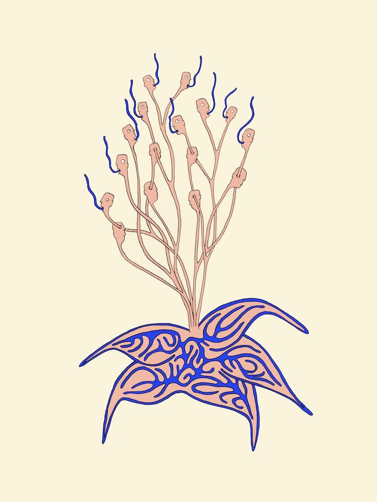 Growth