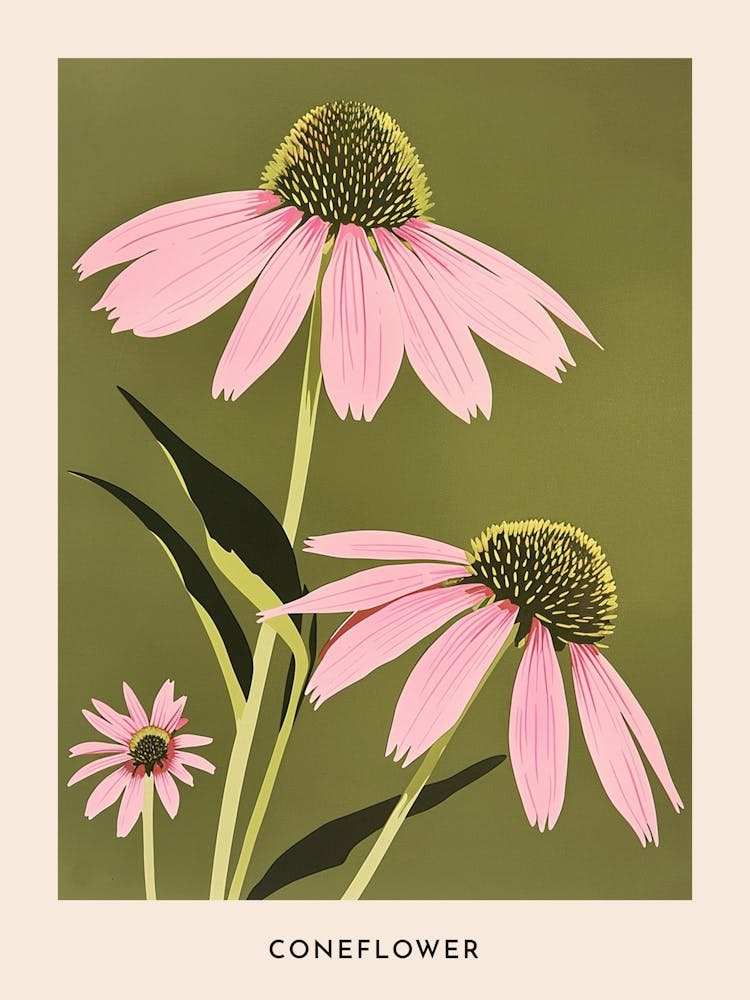 Pink & Green Coneflower 2 Flower Poster