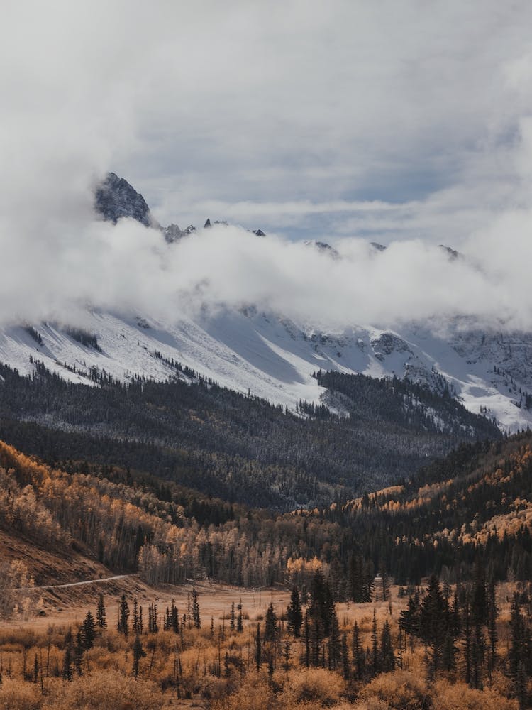 Rustic Valley Views
