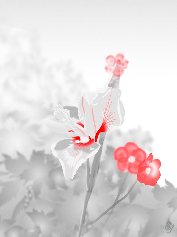 Red Flower