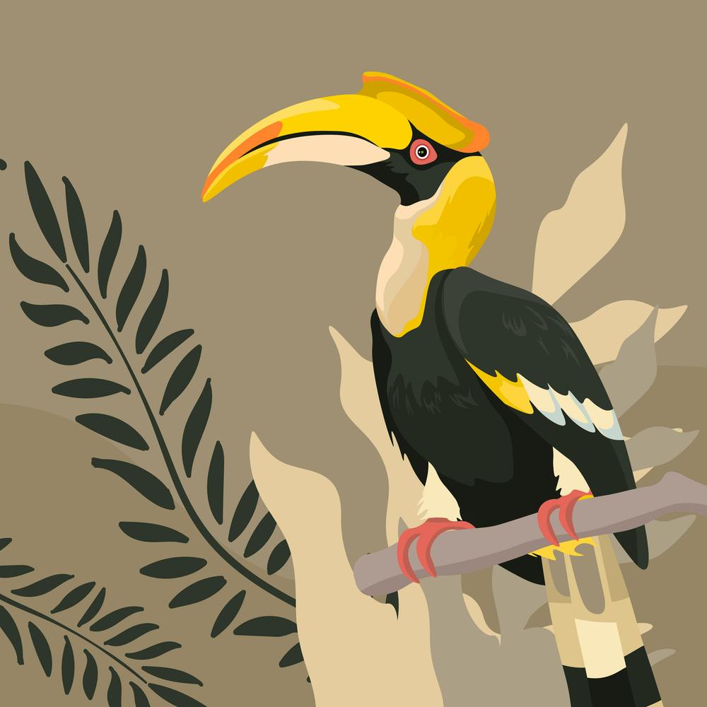 Toucan 1