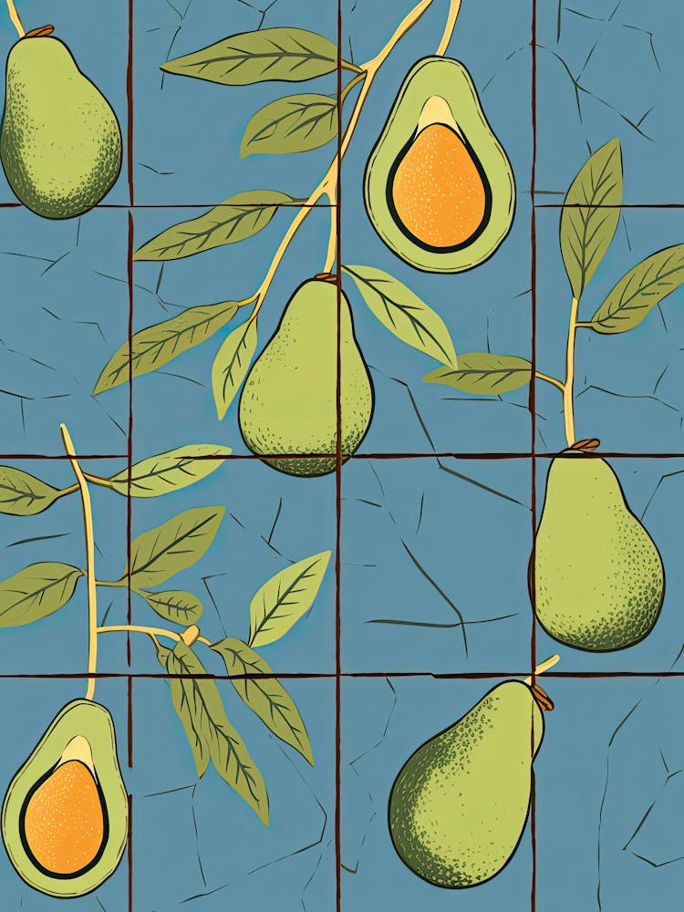 Avocado Illustration 2