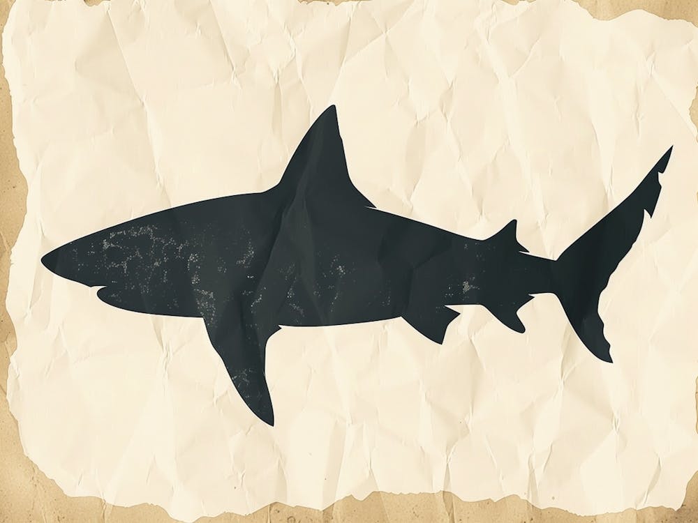 Port Jackson Shark Silhouette 3