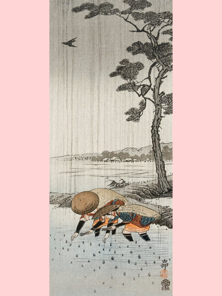 Reispflanzer im Regen (1900 1910), Ohara Koson