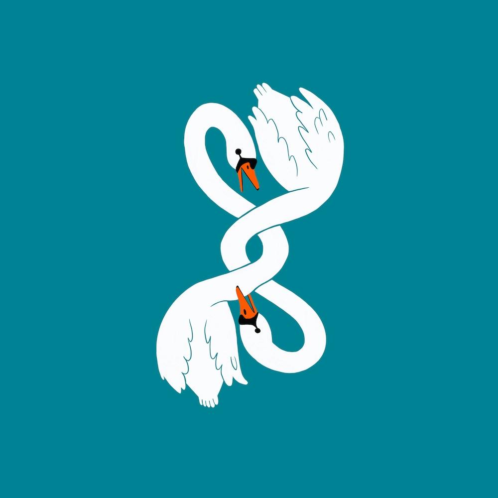 Fighting Swans Square