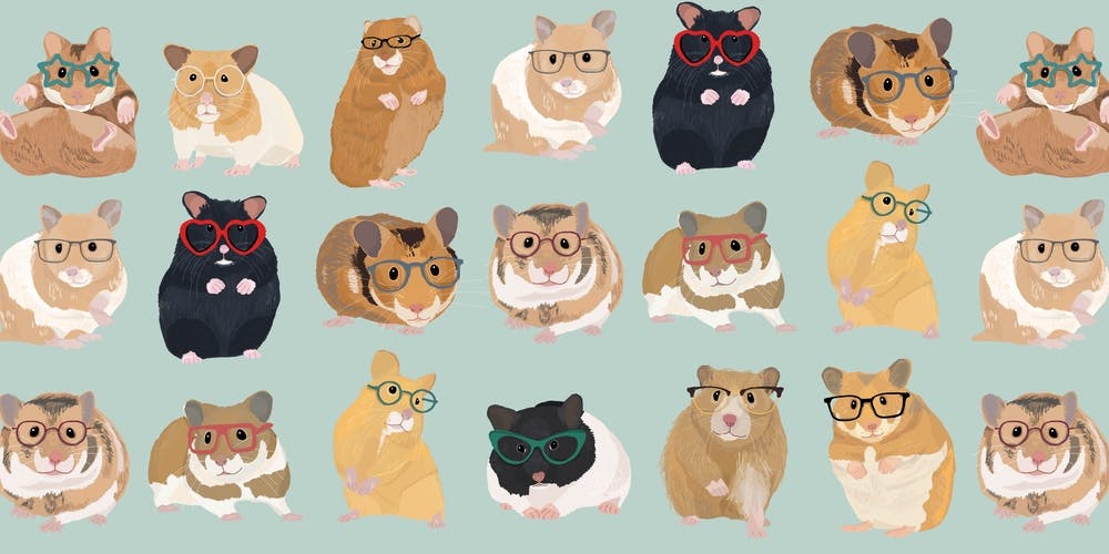 Hamsters In Glasses