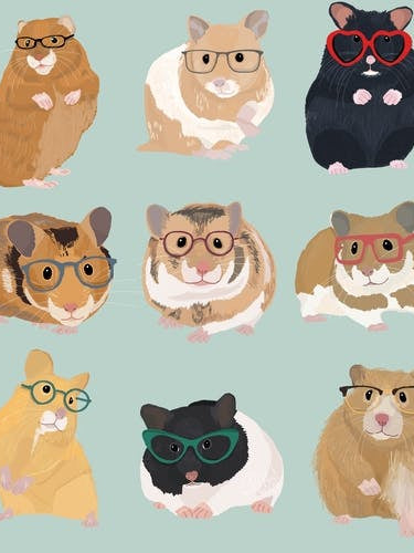 Hamsters In Glasses