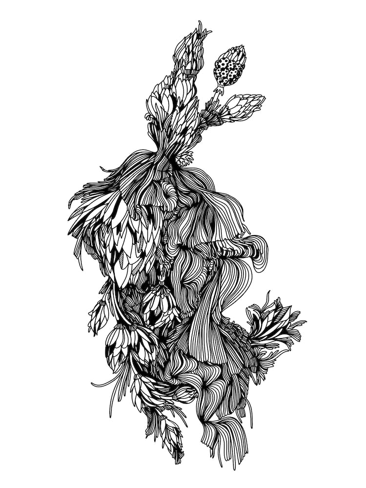 Artichoke Linear Drawing