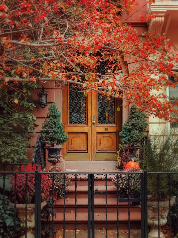 Door Of Autumn, New York