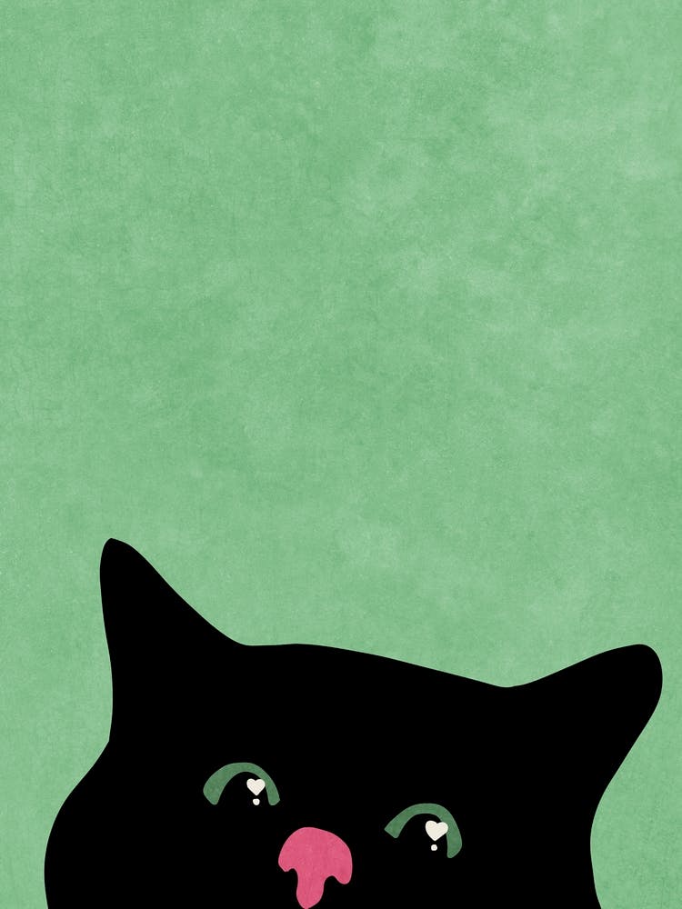 Curious cat
