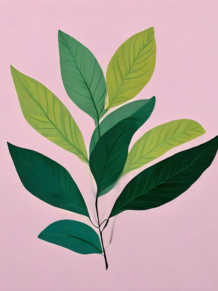 Green Leaves On A Pink Background