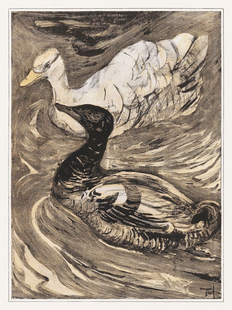 Zwei Schwimmende Enten (1878–1909), Theo Van Hoytema