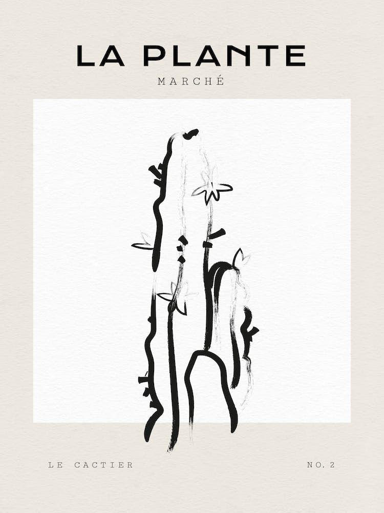 Boho Bohemian 6 Cactus