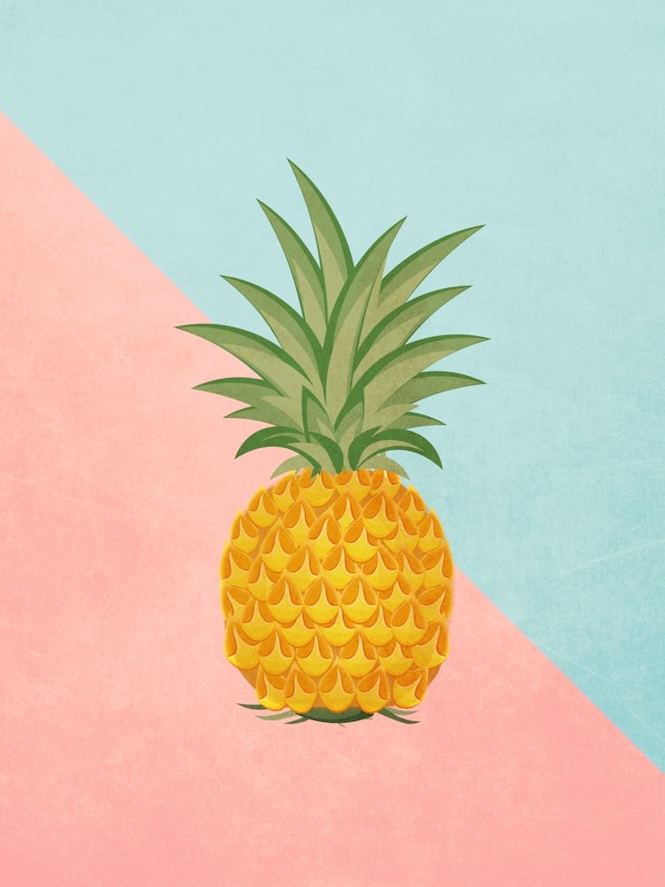 Vintage Minimal Art Pineapple On A Pink And Blue Background