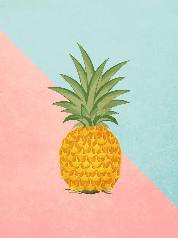 Vintage Minimal Art Pineapple On A Pink And Blue Background