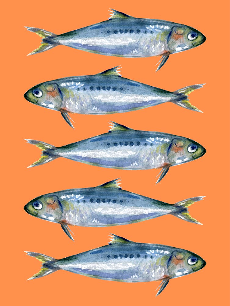 Sardines On A Orange Background Print