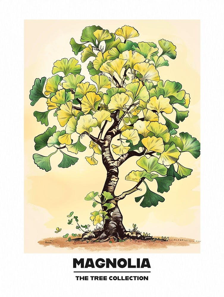 Magnolia Tree Storybook Illustration 1 Poster