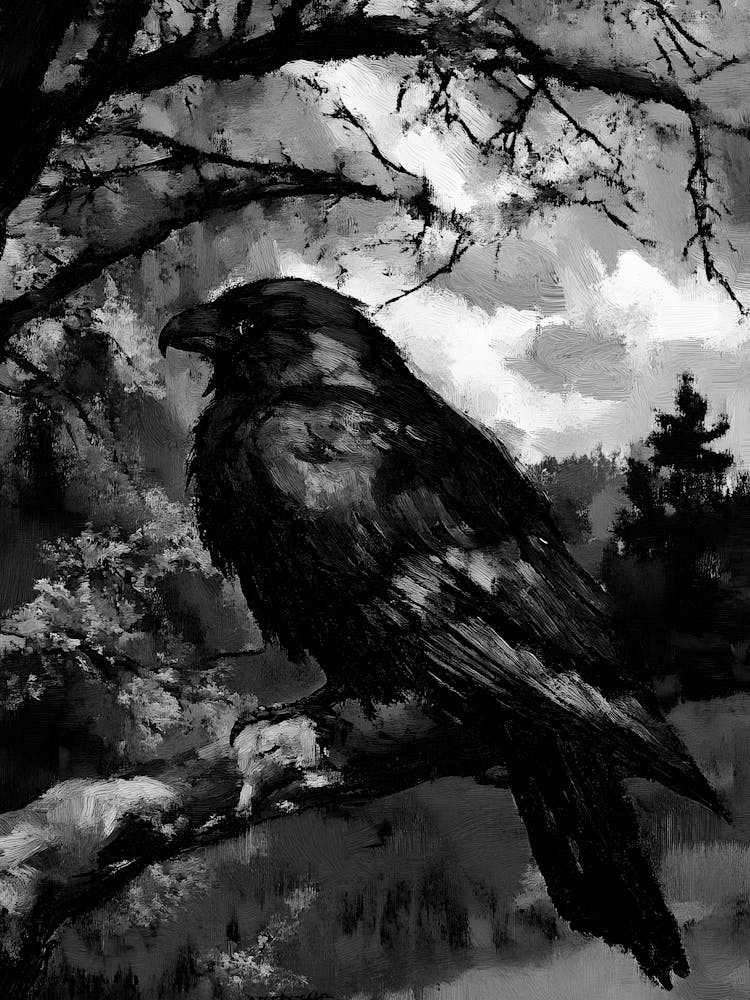 Raven By Person