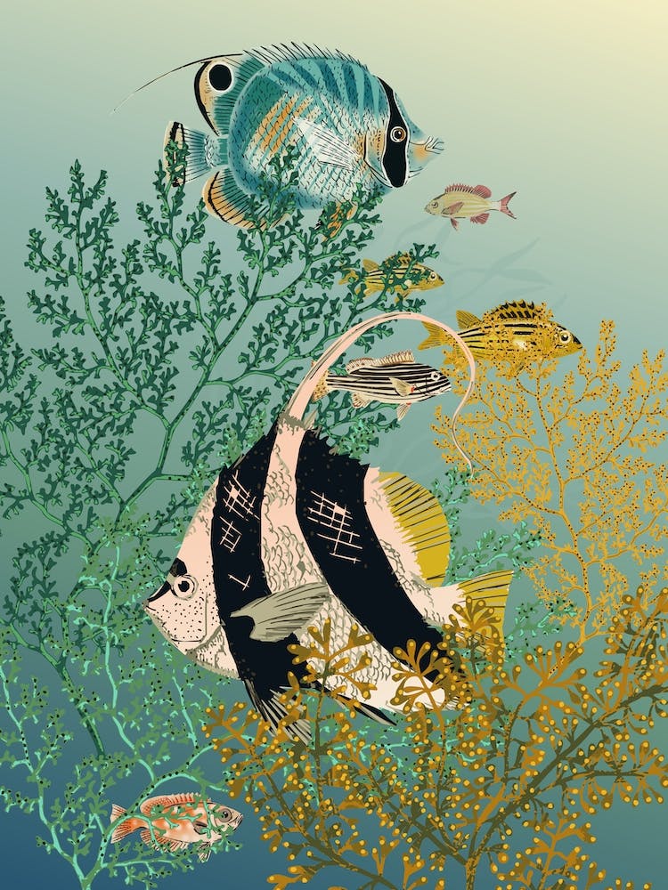 Coral Reef Deep Silence