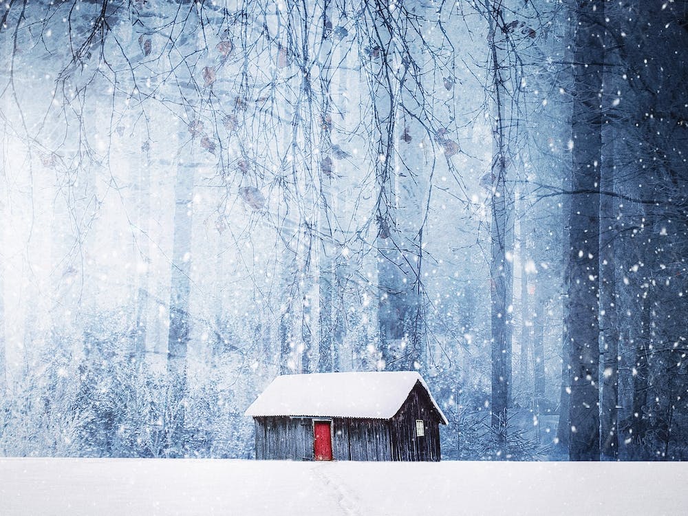 Winter