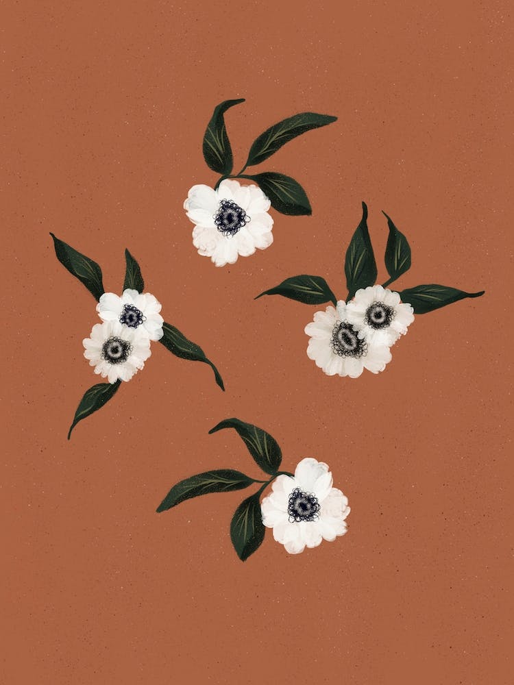 Anemones