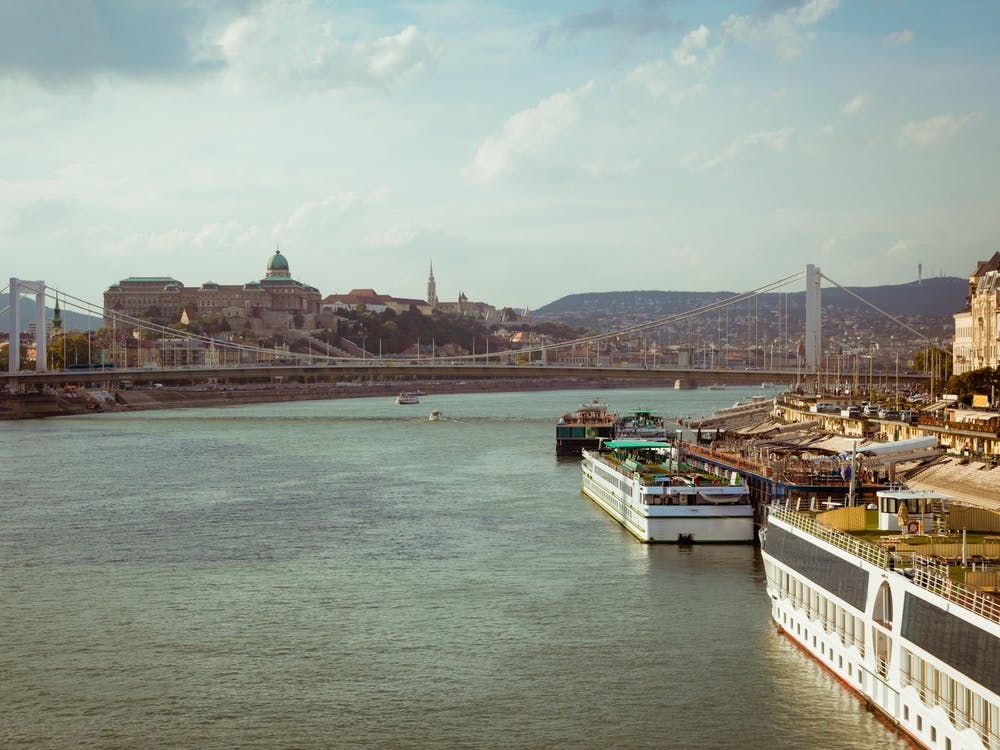 Elisabeth Bridge And Buda Castle