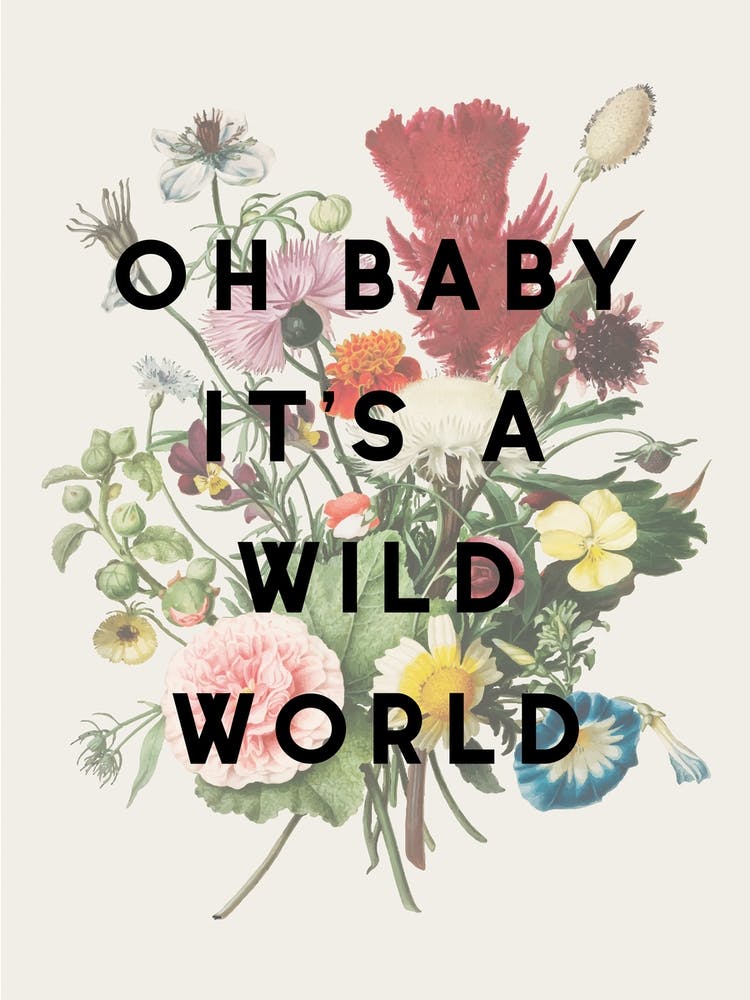 Wild World