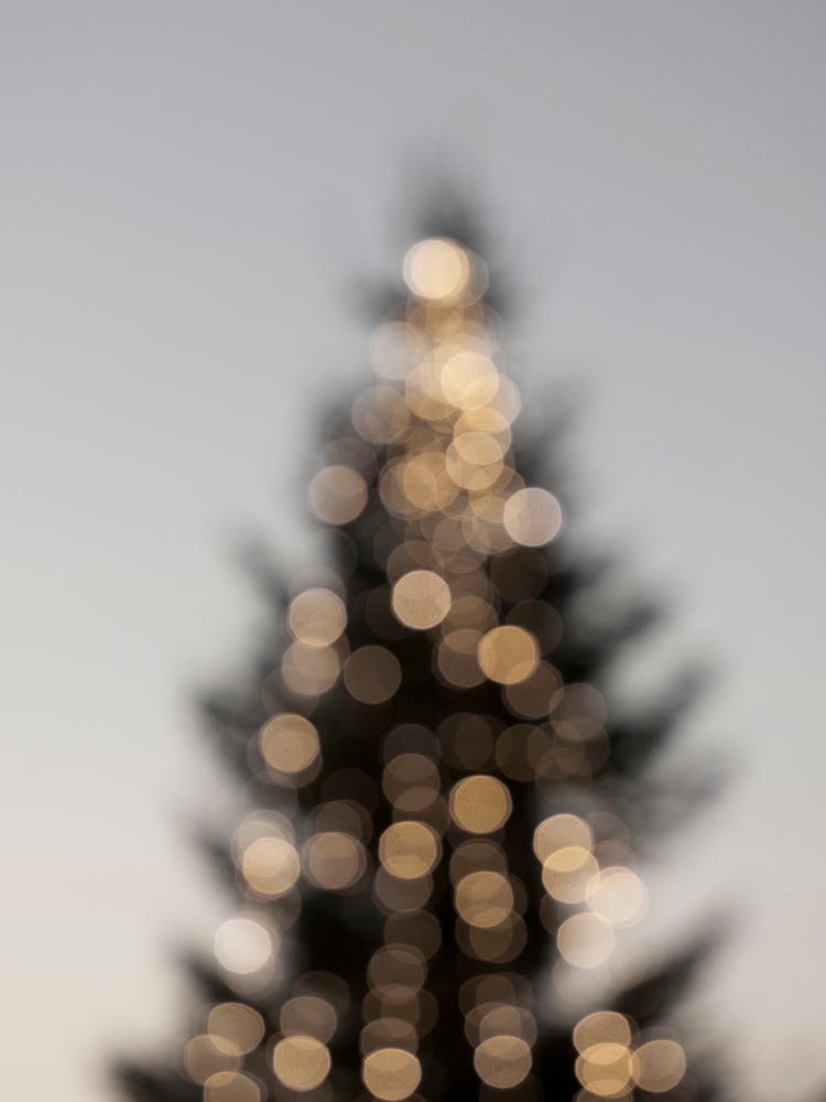 Merry Merry Christmas