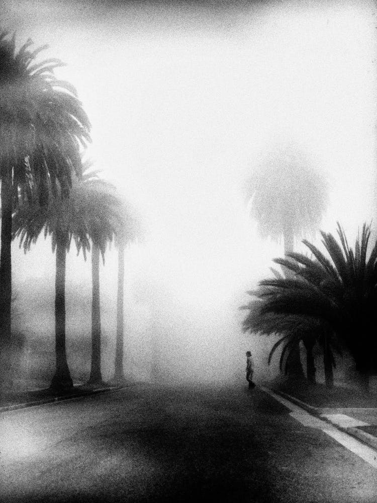 Nebel
