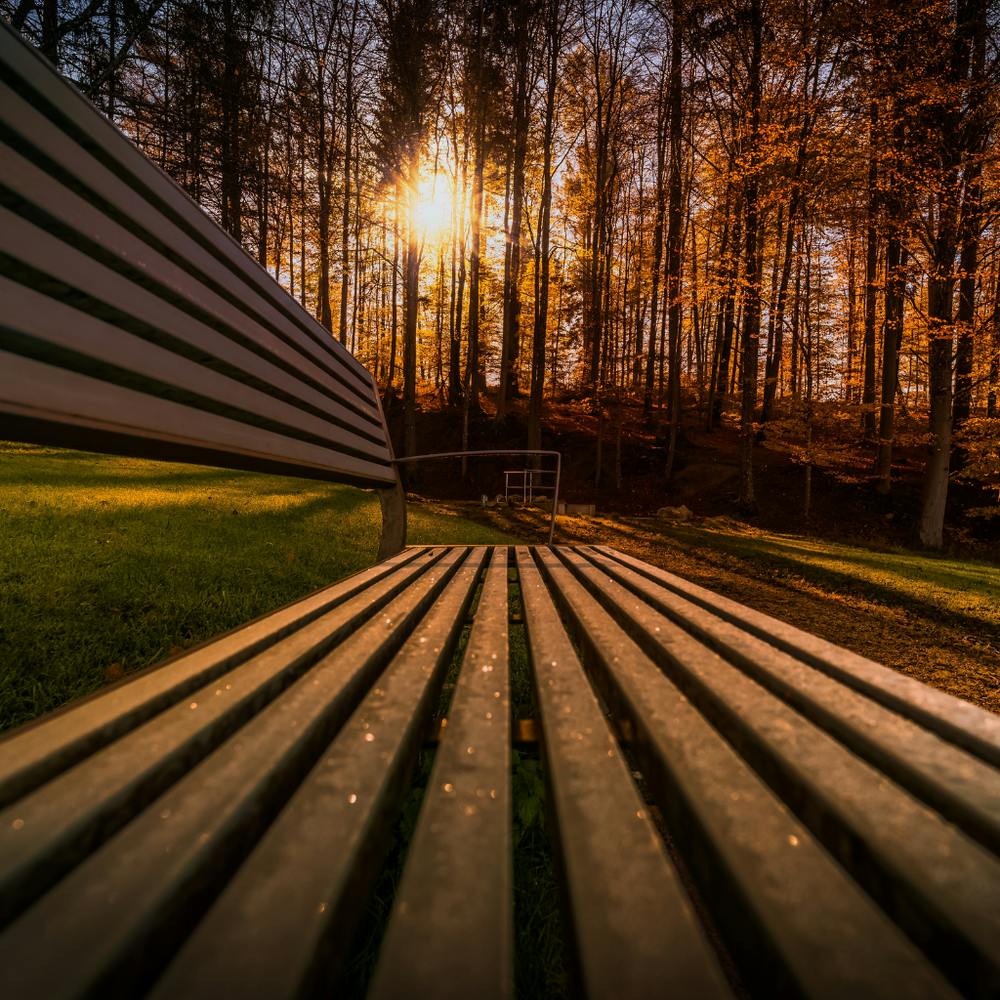 Sunset Park Bench Photo