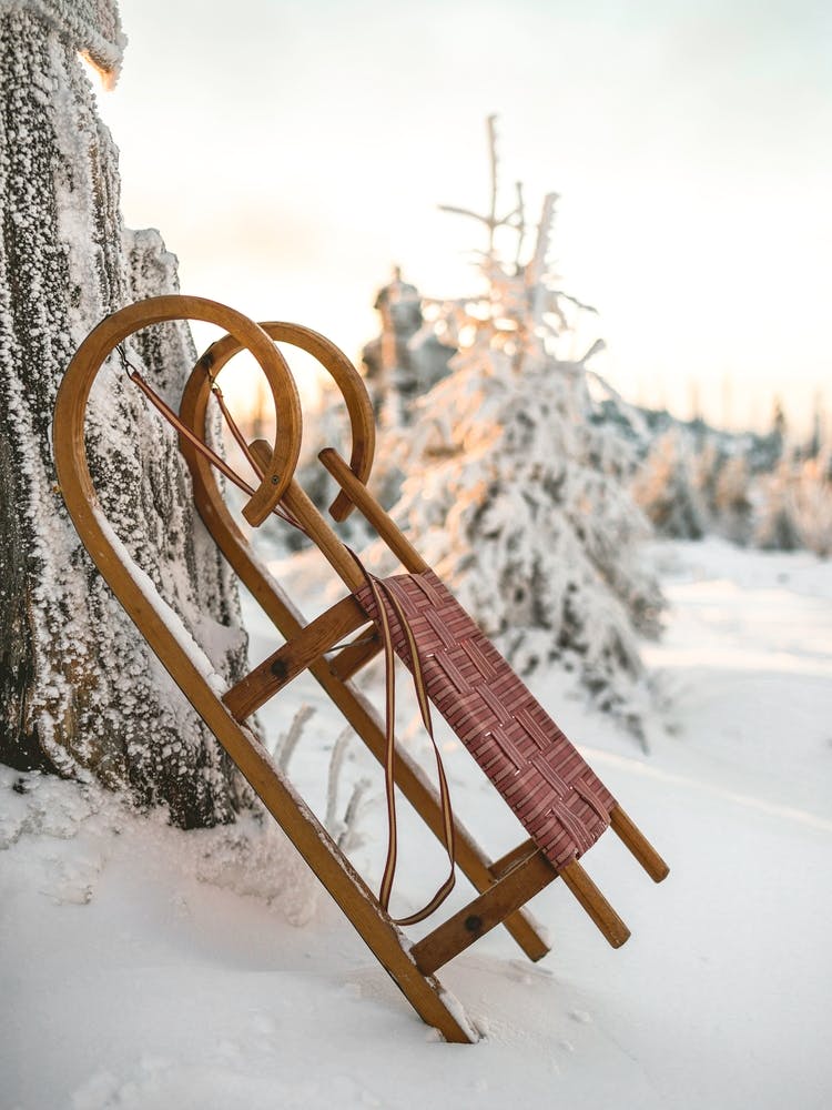 Winter Sleigh