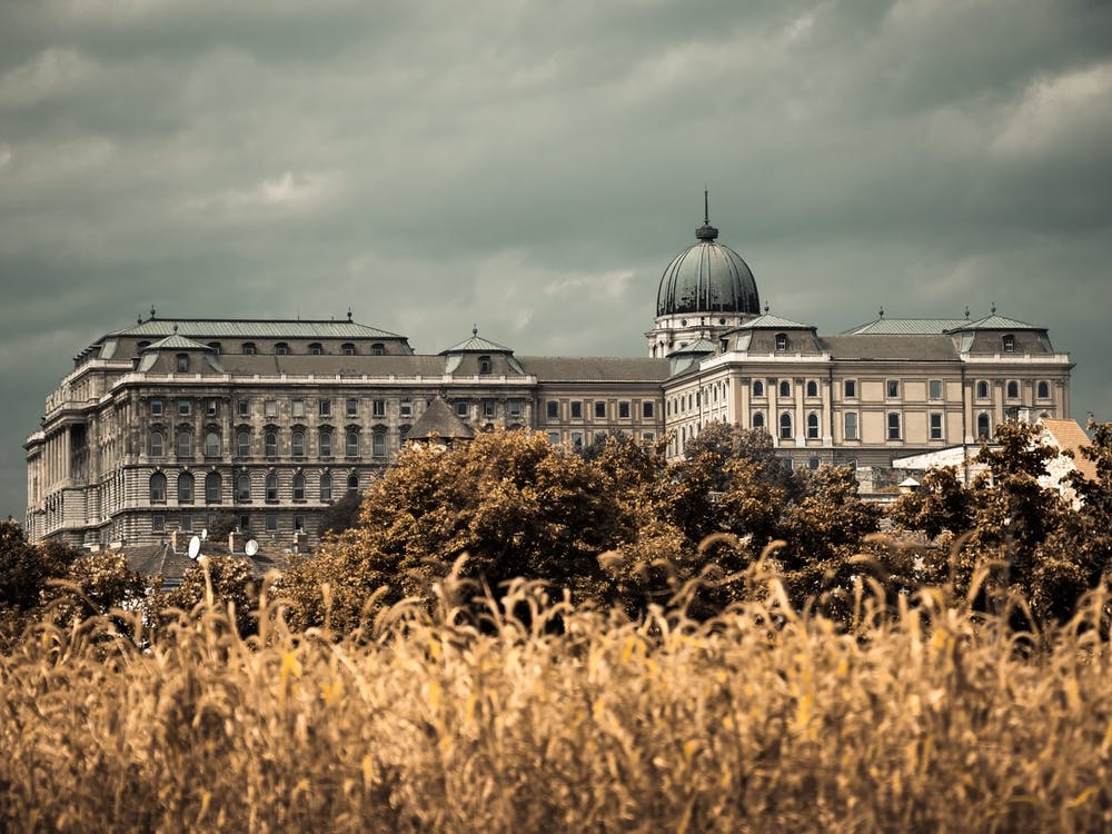 Buda Castle Horror Style
