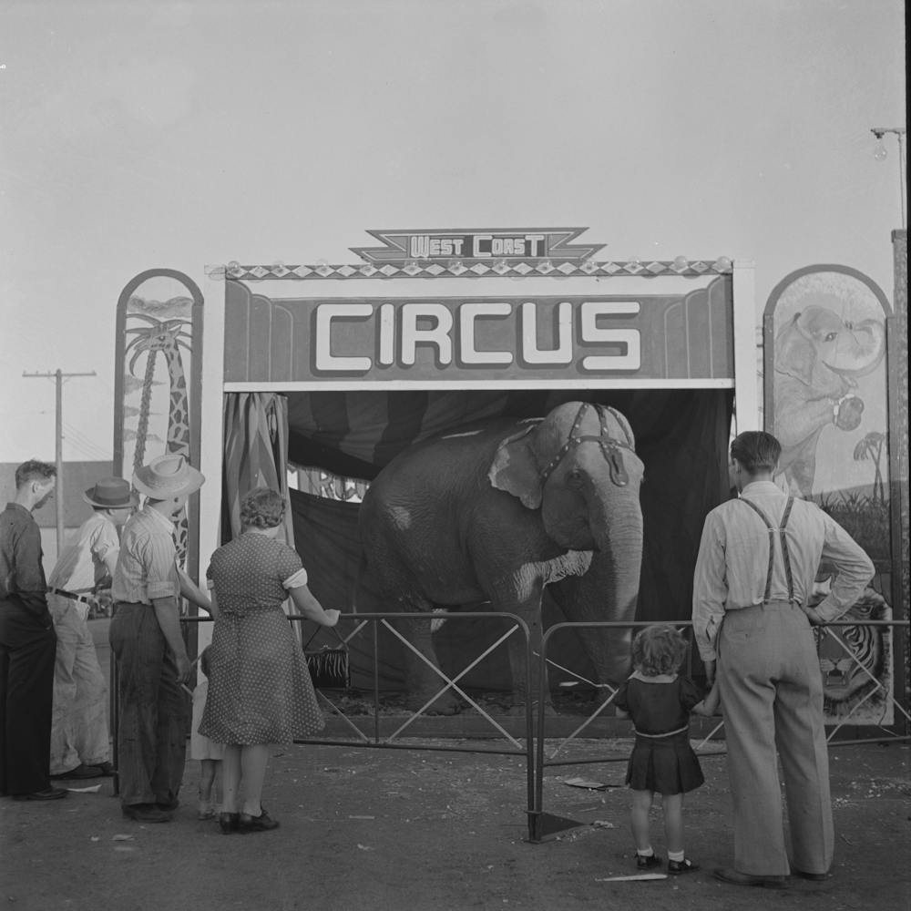 Klamath Falls, Oregon, Circus Day By Russell Lee