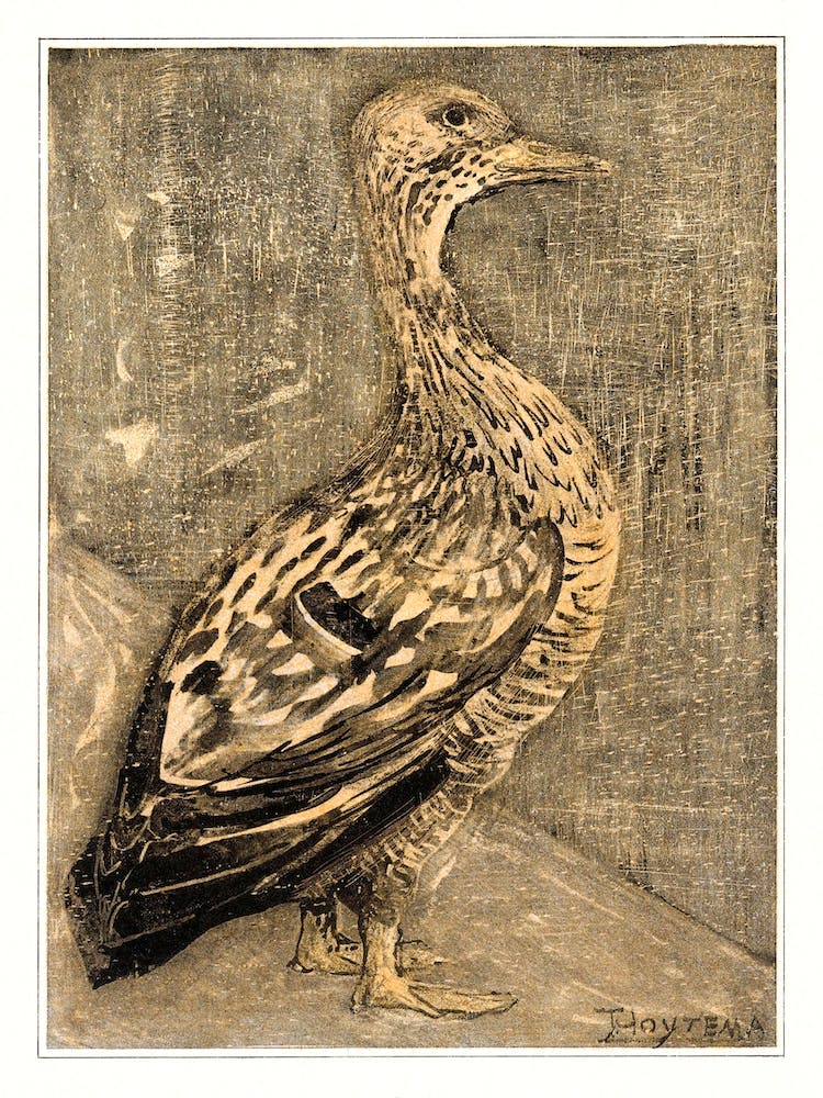 Standing Duck (1878–1909), Theo Van Hoytema