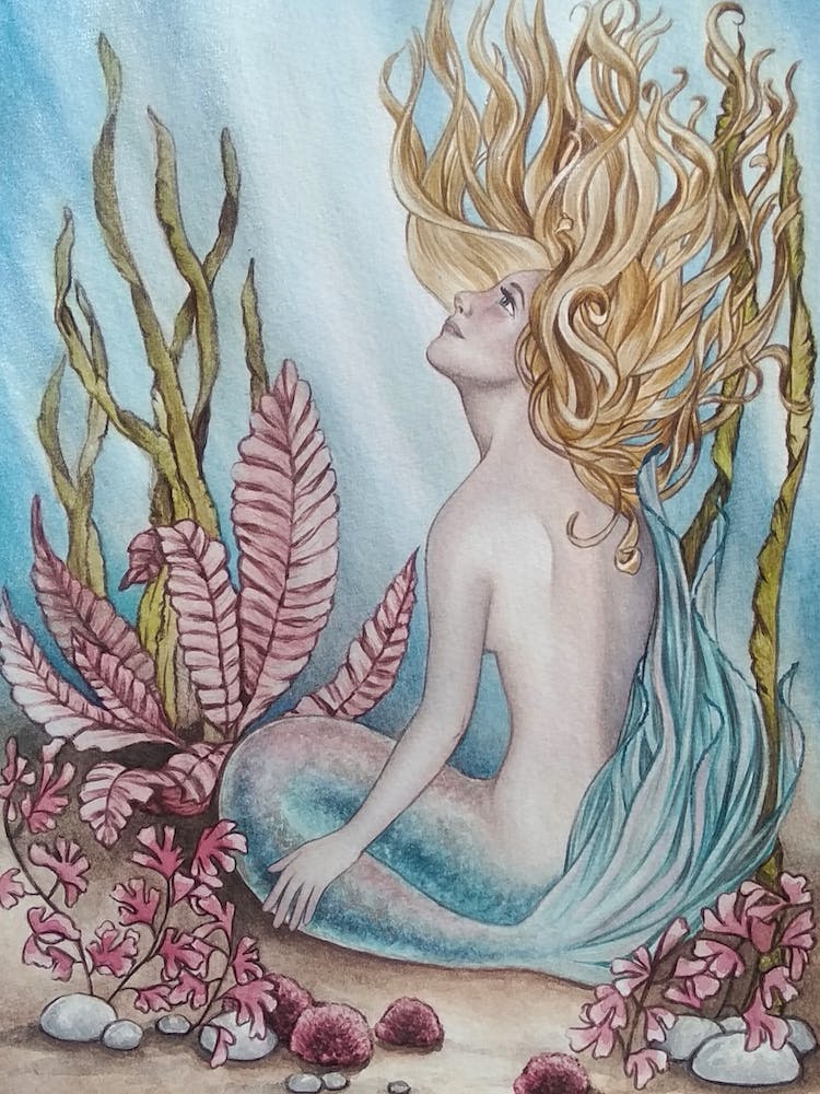 Little Mermaid