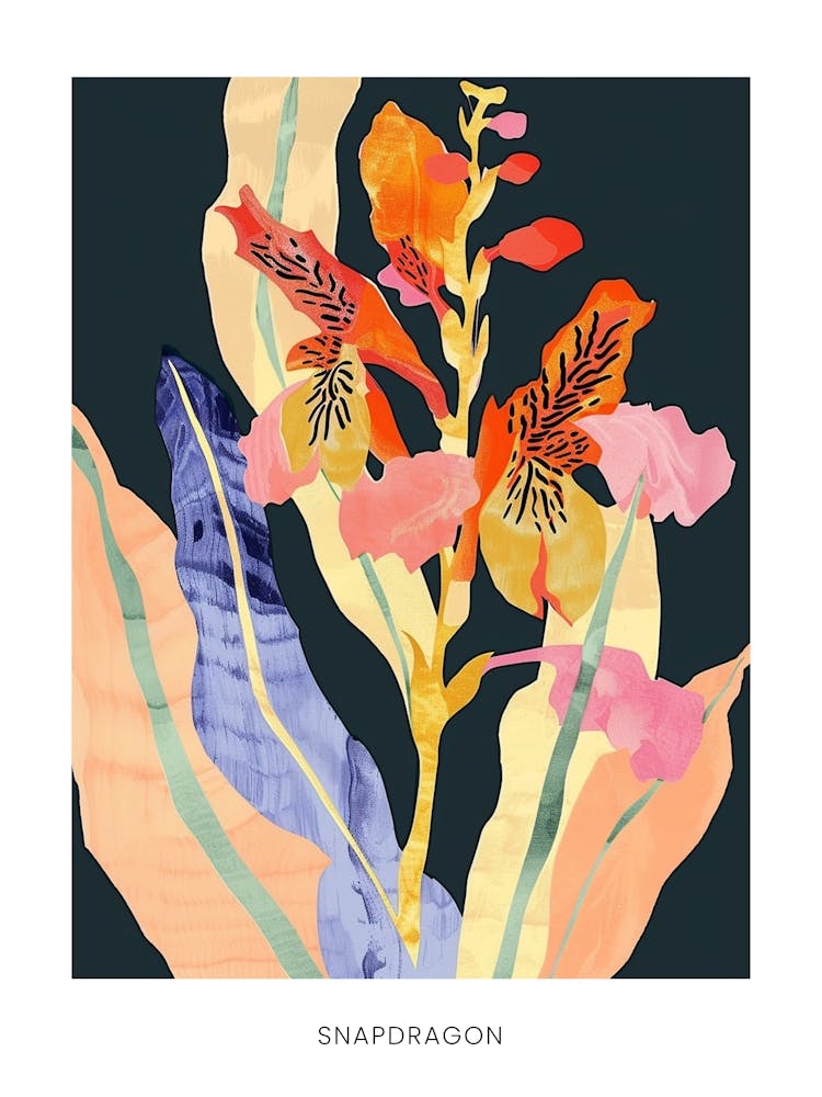 Bunte Blumenillustration Poster Löwenmäulchen 1