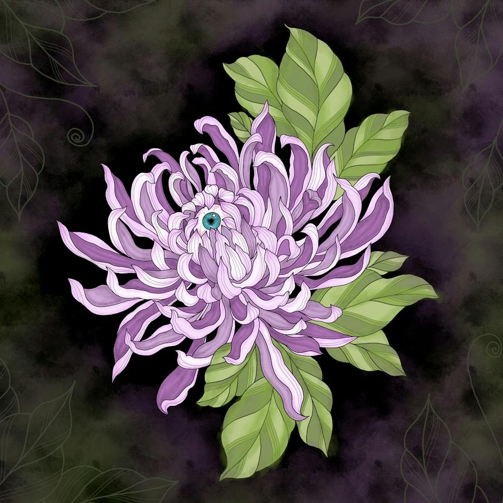 Chrysanthemum