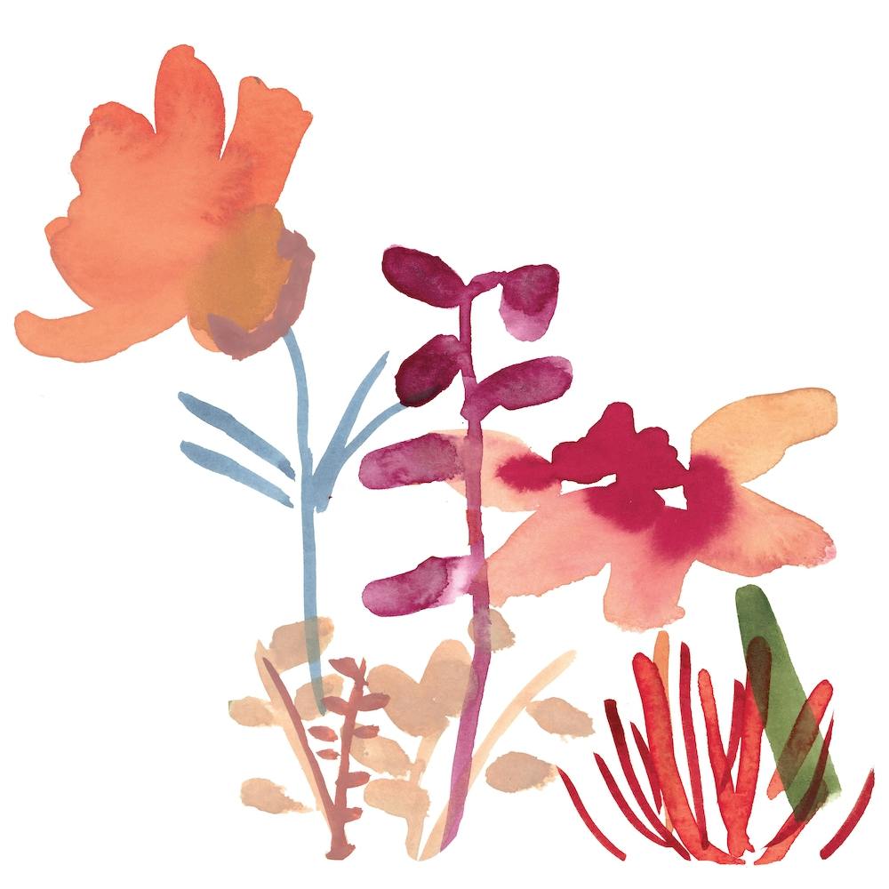 Botanical Watercolors 4 Square
